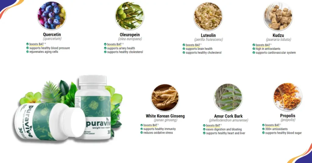 What is Puravive Supplement- Does it work to Burn Fat fast