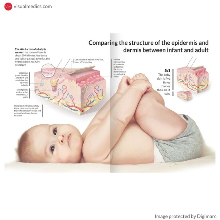 Baby Skin vs. Adult Skin