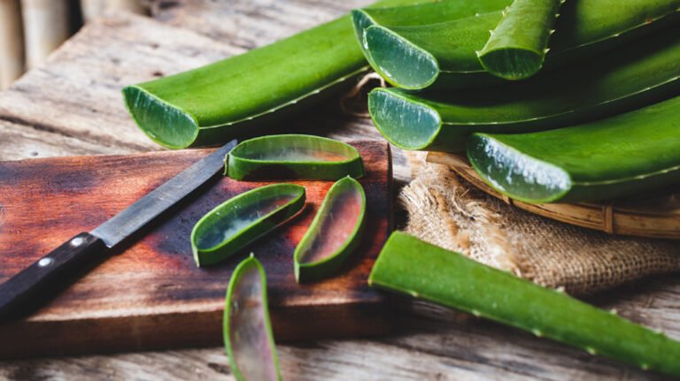 What is the Main Use of Aloe Vera?