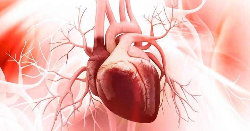 Heart Problem Symptoms in Adults